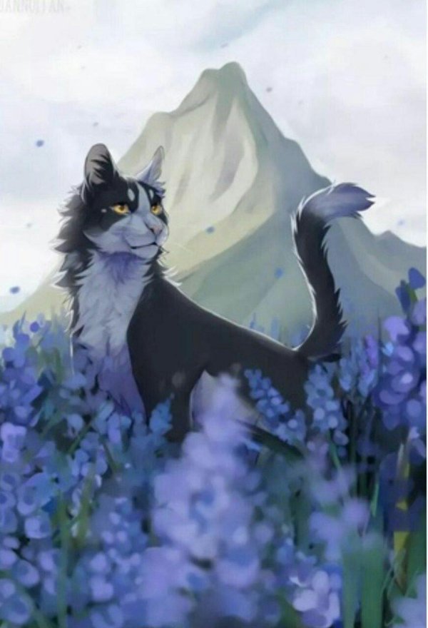 фиалочка коты воители