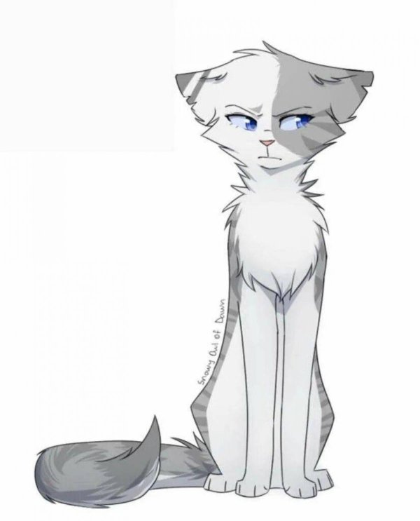 рисунки котов воителей для срисовки