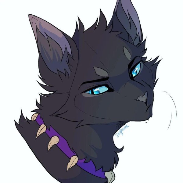 Коты воители