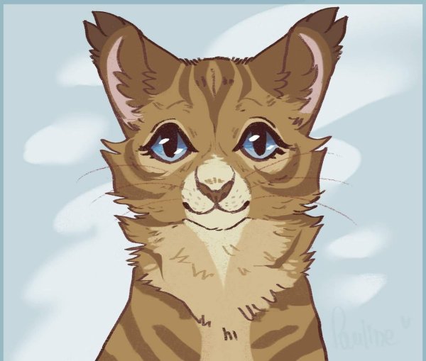 коты воители ледозвезд