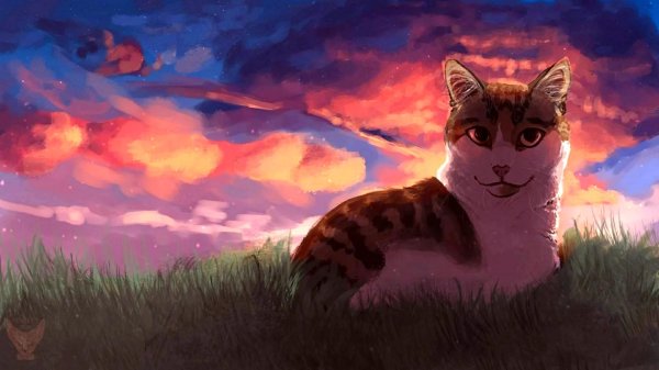 красивые арты котов воителей