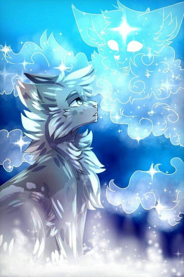 кот воители