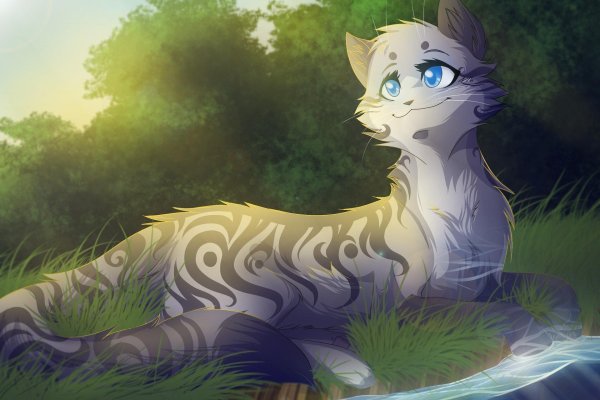 коты воители солнцезвезд