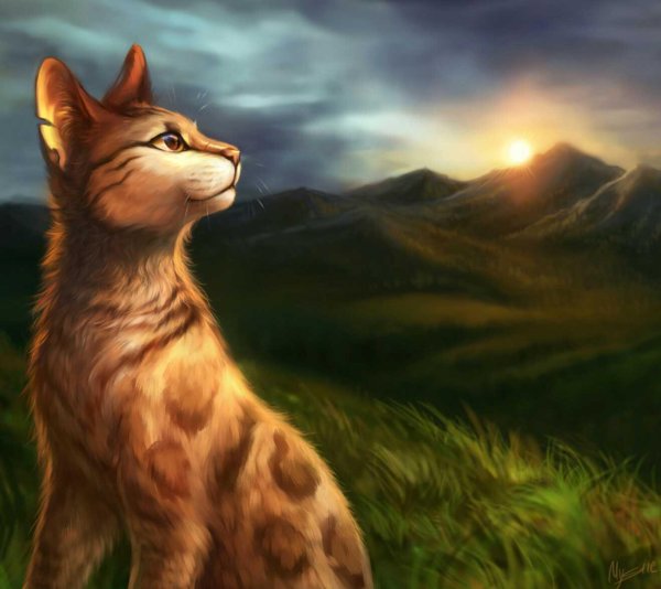 кот воители