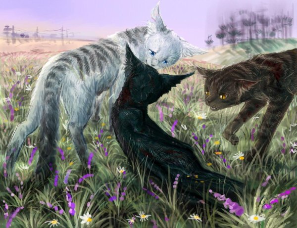 кот воители