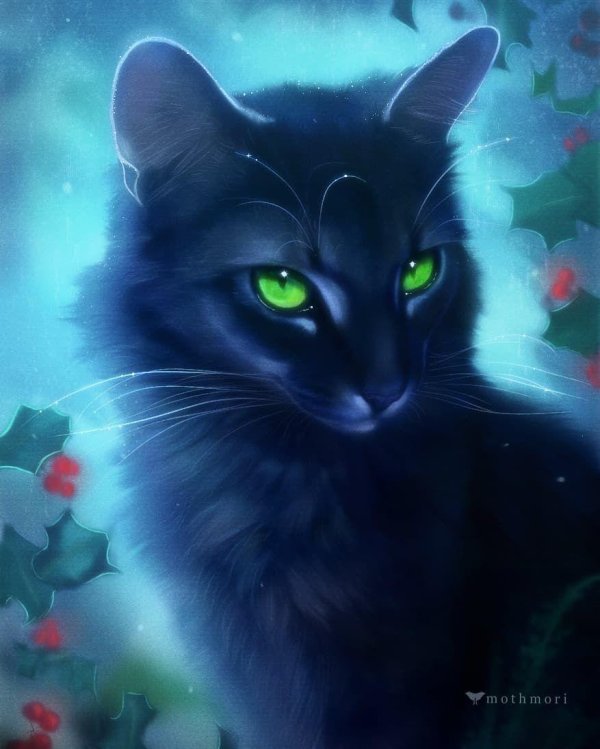 коты воители остролистая