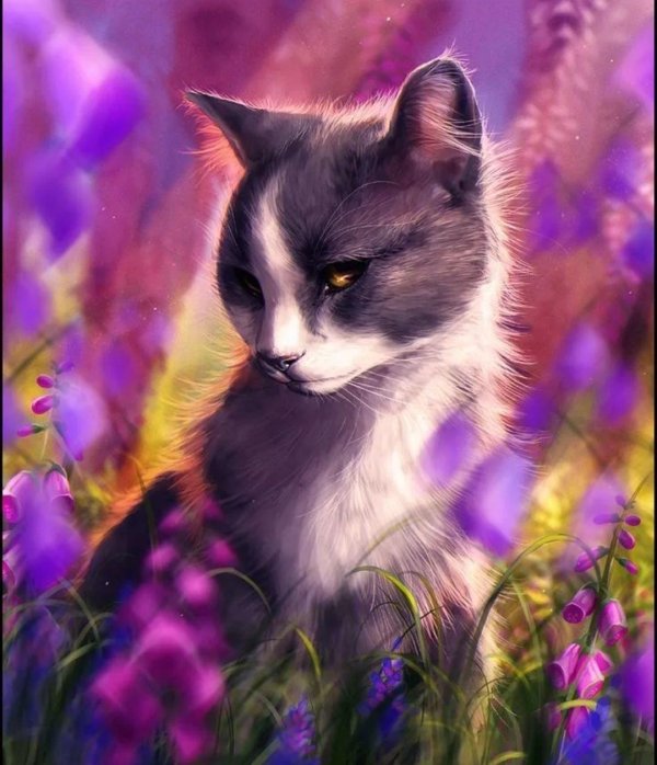 красивые арты котов