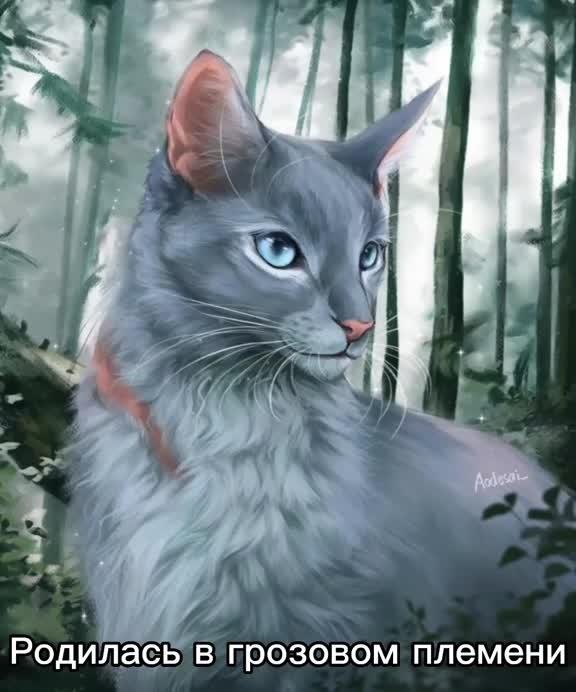 красивые арты котов воителей