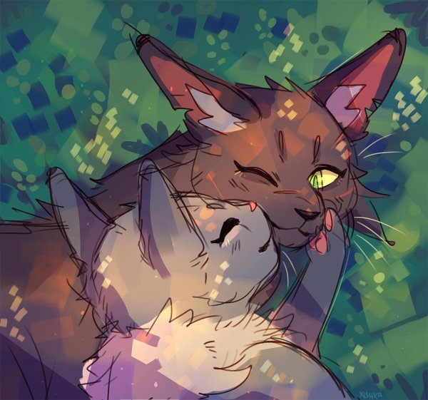 кот воители