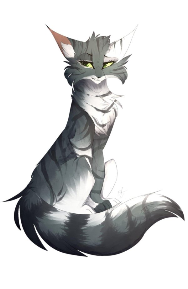 кот воители