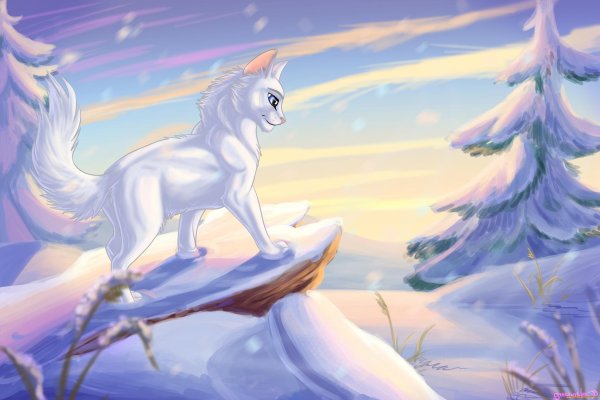 белохвост коты воители