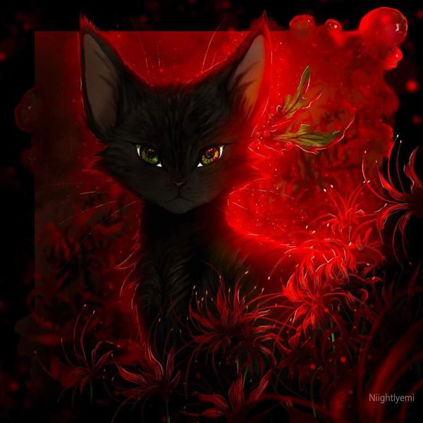 остролист коты воители