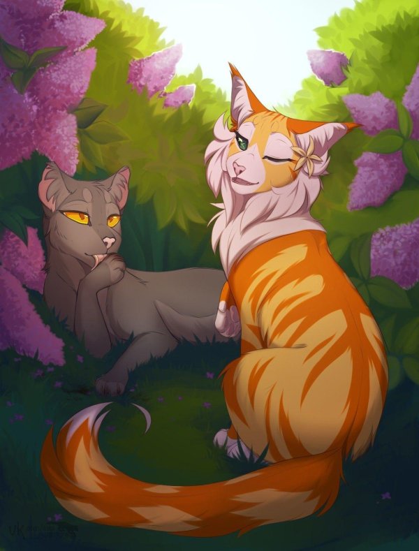 кот воители