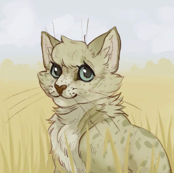 песчаная буря из котов воителей