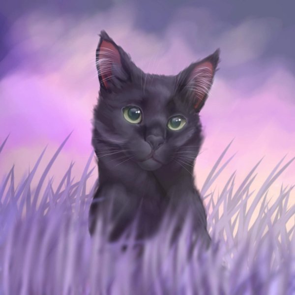 красивые арты котов воителей