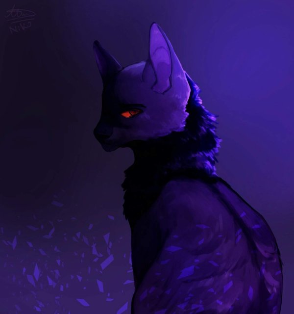 бич кот воитель