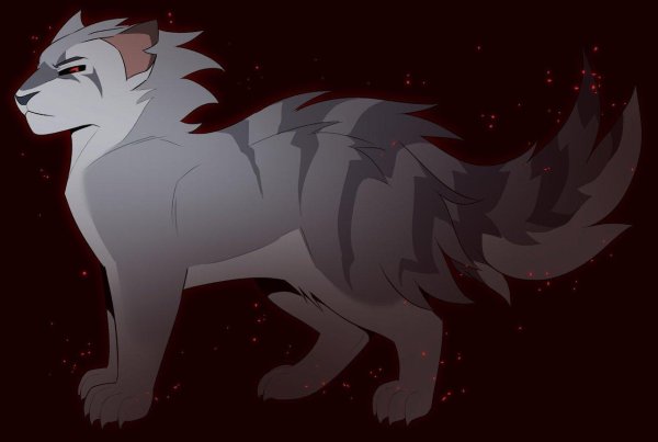 кот воители