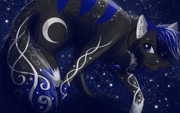 коты воители рейвен спирит