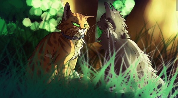 коты воители river spirit воительница