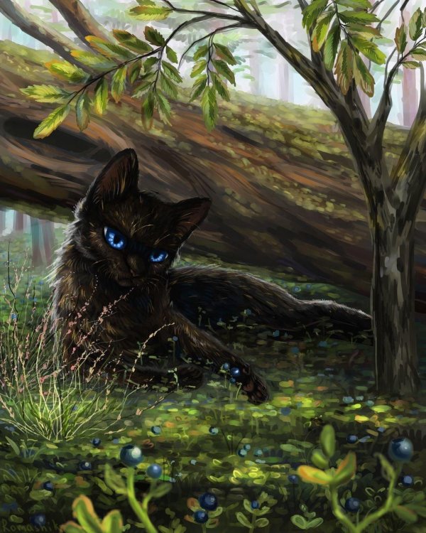 арт котов воителей