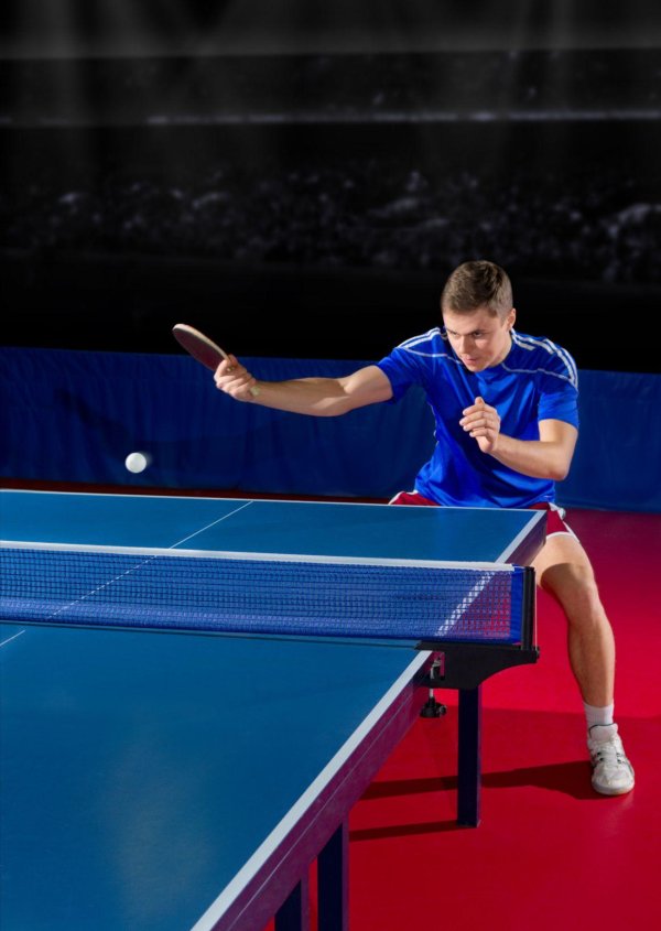 настольный теннис