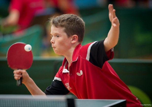 настольный теннис