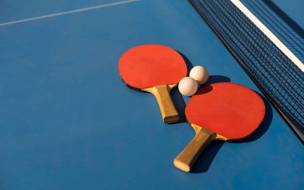 теннисная ракетка для настольного тенниса
