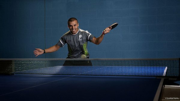 теннис настольный
