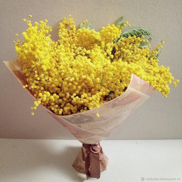букет мимоз