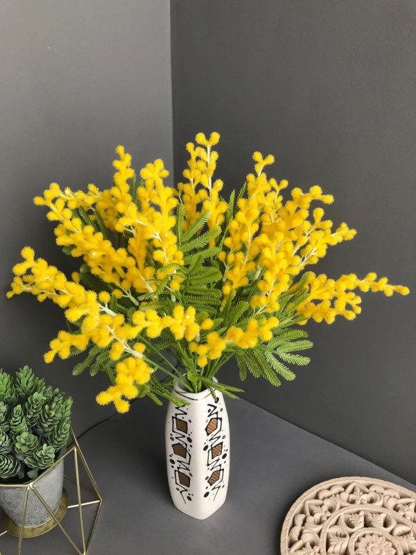 мимозы ветка мимозы