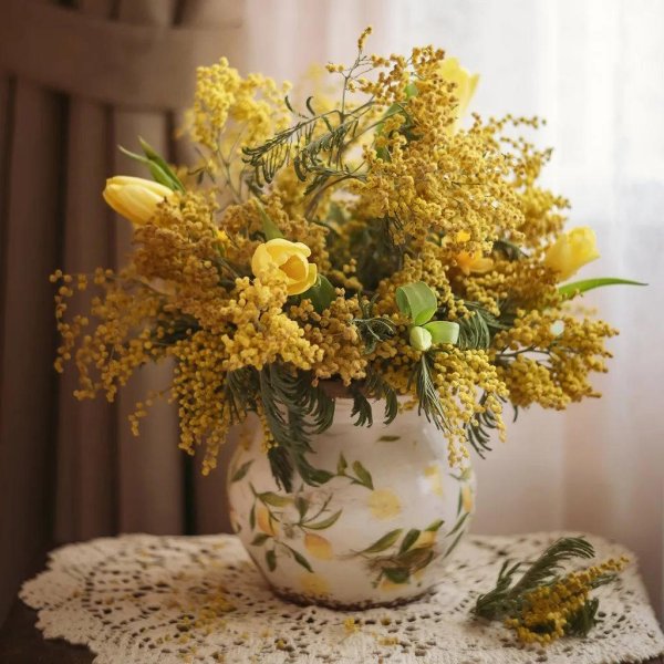 цветок мимозы мимозы