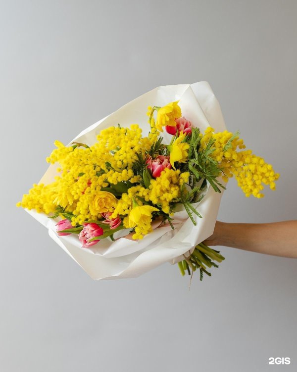 тюльпаны мимоза