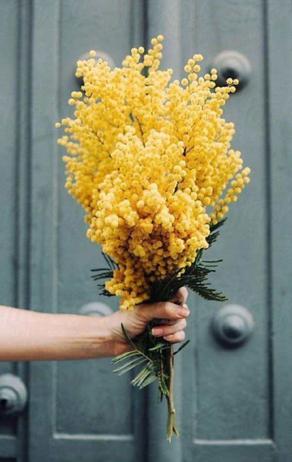 маленький букетик из мимозы