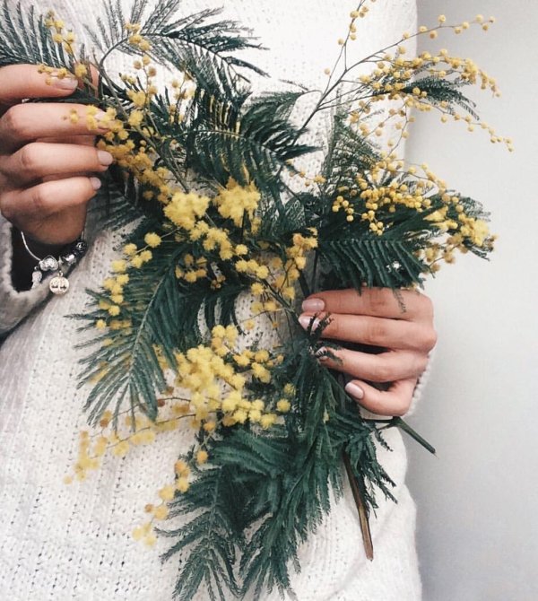 девушка с мимозой