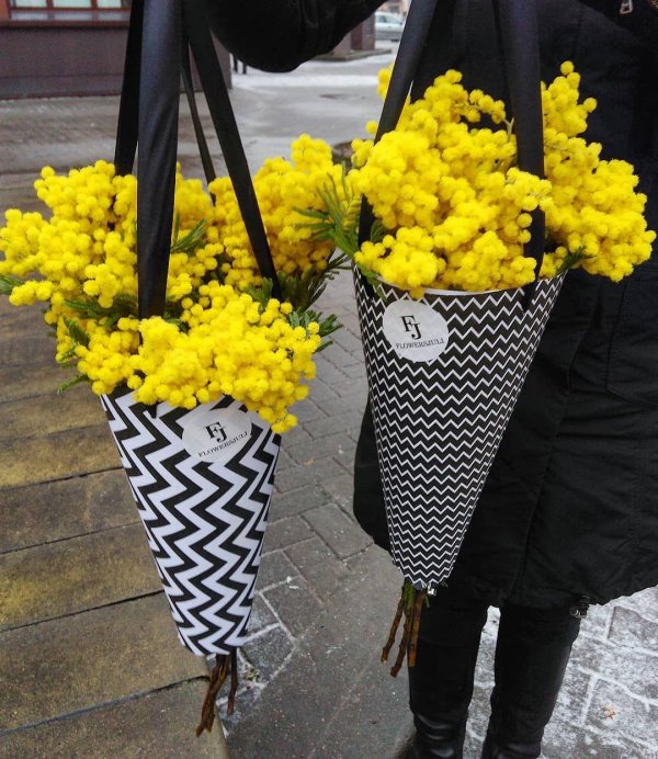 букеты из мимозы оригинальные