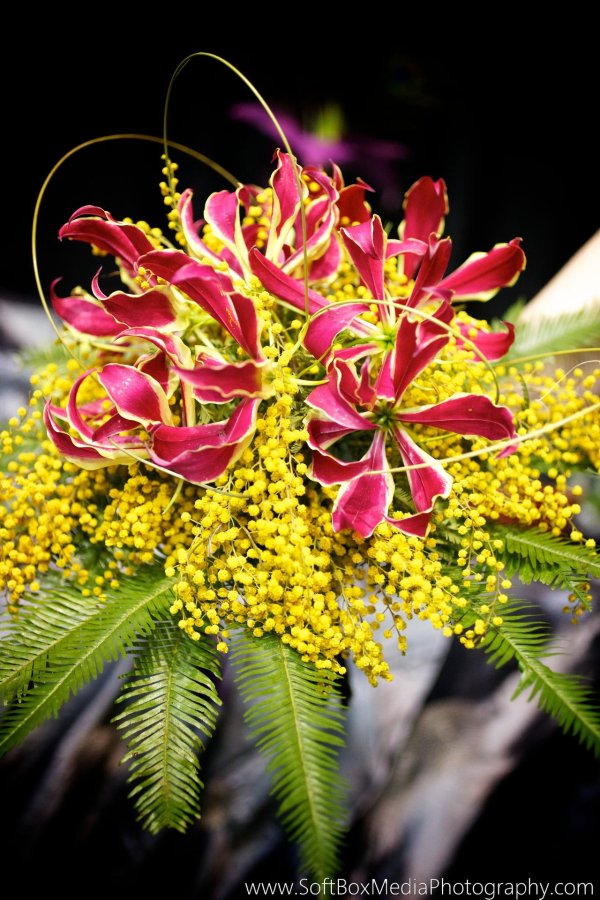 глориоза ротшильда