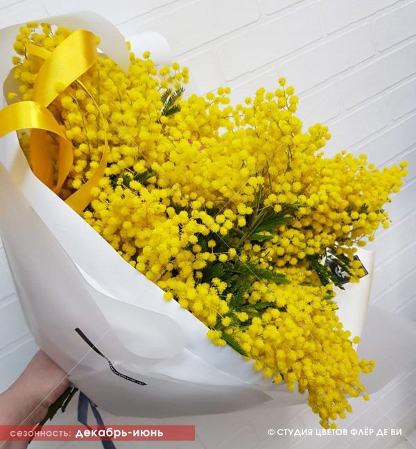 букет мимоз