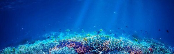 морское дно