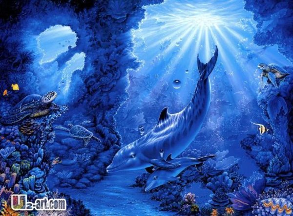 картина дельфин