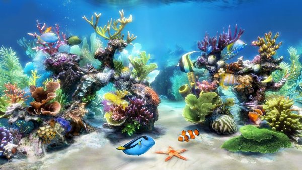 аквариум 3д