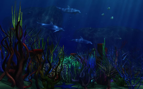 фон подводного мира