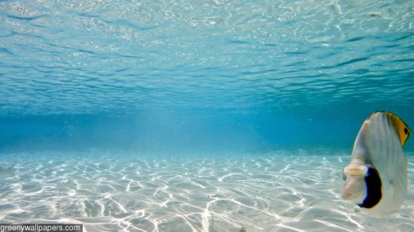 океан красивый