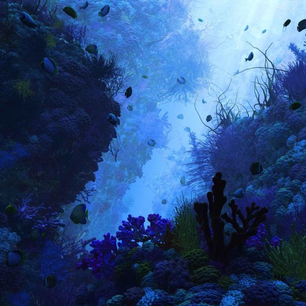 морская глубина