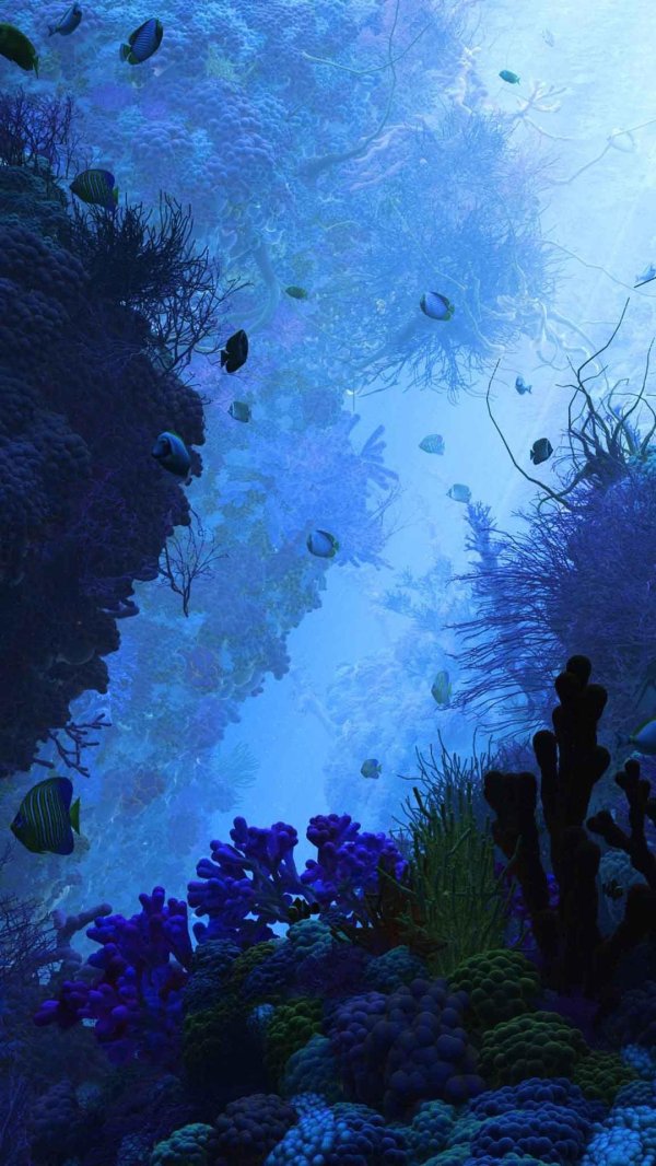 подводные пейзажи