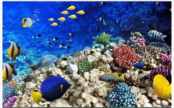 красное море египет