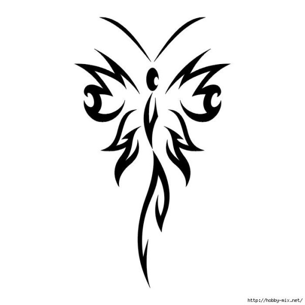 бабочка трайбл