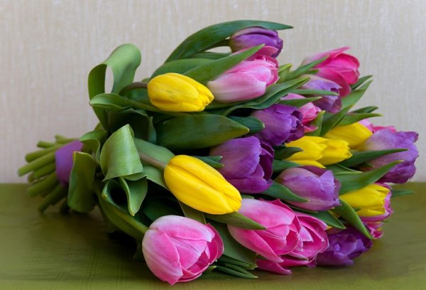 букет тюльпан