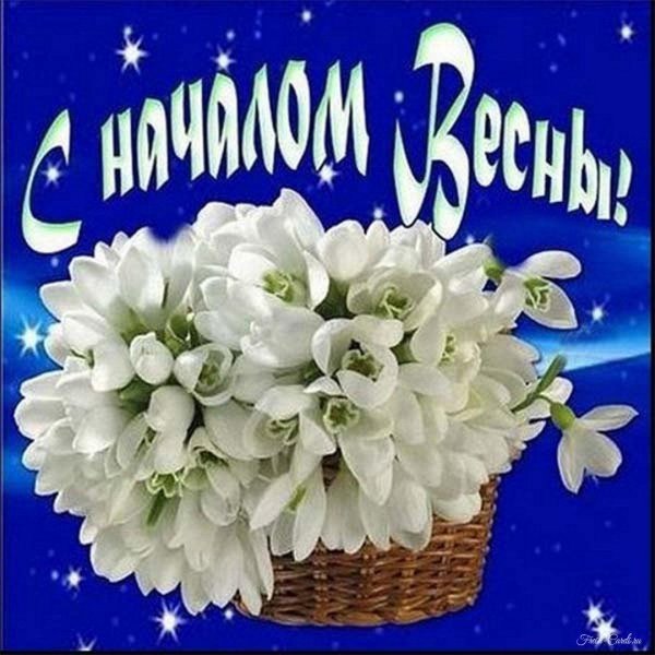 корзина подснежников