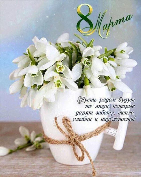 нежные подснежники