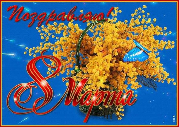 мимоза с 8 марта